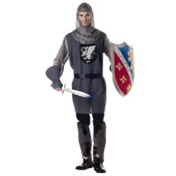 Valiant Knight Adult Costume
