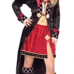 Queen Of The Pirates Adult Costume