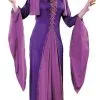 Medieval Princess Adult Costume 3 Medieval Princess Adult Costume -Renaissance & Medieval store 411 768 FW1059