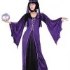 Renaissance Sorceress Adult Costume -Renaissance & Medieval store 515 768 FW1053