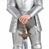 Knight In Shining Armor Adult Costume