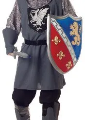 Valiant Knight Plus Size Adult Costume