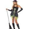 Sassy Teen Witch Costume -Renaissance & Medieval store CC05041 1