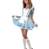 Teen Alice Costume -Renaissance & Medieval store CC05055