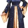 Blue Maiden Princess Adult Costume -Renaissance & Medieval store fw5138